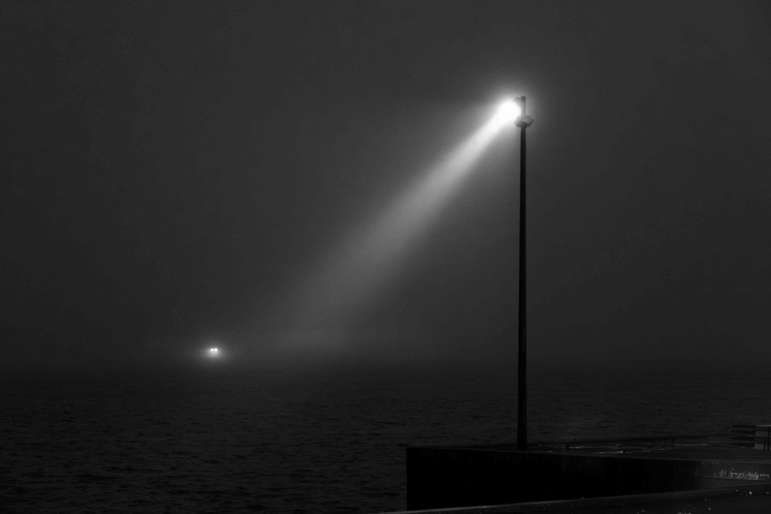 Foggy winter nights in 2026